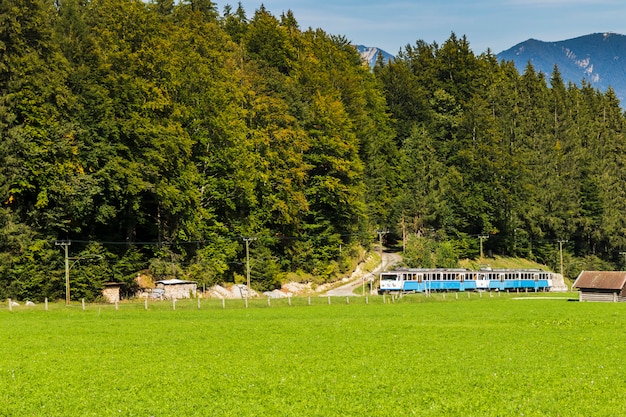 Trainieren Sie den Wald eines grünen Tales