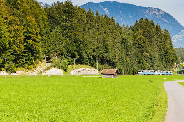 Trainieren Sie den Wald eines grünen Tales