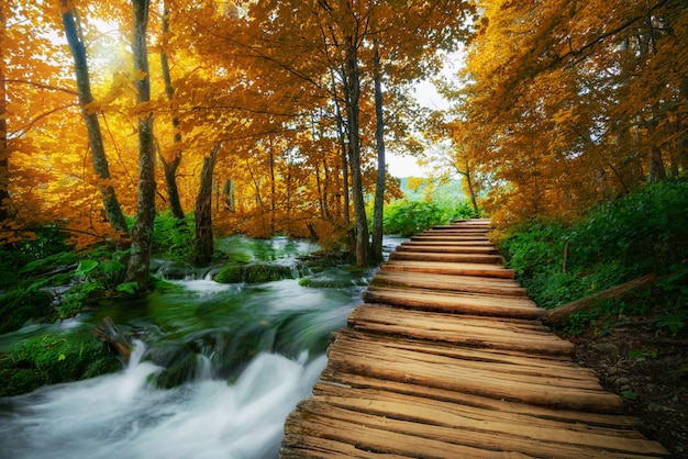 Foto trajeto de madeira bonito no lago plitvice, croácia.