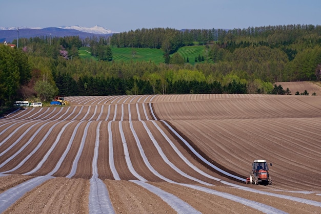 Foto traktor auf dem feld