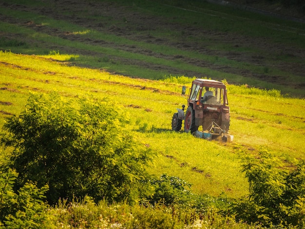 Foto traktor auf landwirtschaftlichem feld