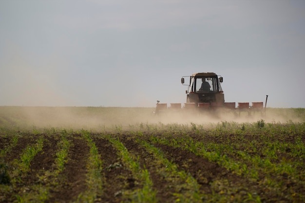 Traktor, der am Sommertag Land auf einem Feld bewirtschaftet, horizontal