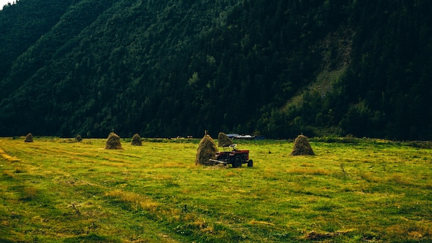 Traktor im Feld