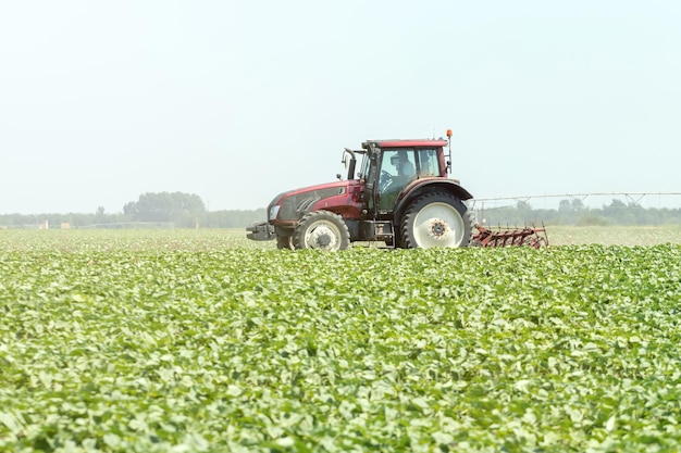 Traktor im grünen Feld. Landwirtschaftliche Maschine.