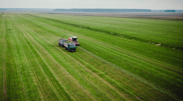 Traktor mäht das Gras auf einer grünen Feldvogelperspektive