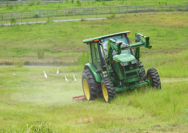 Traktor mäht das Gras