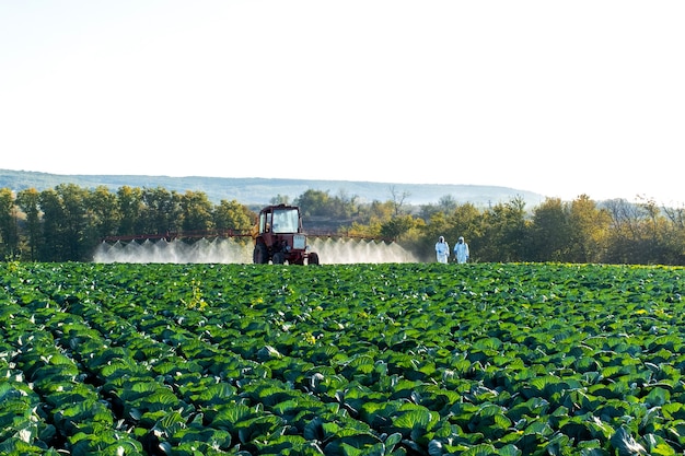 Traktor sprüht Chemikalien und Pestizide auf ein Feldgemüse