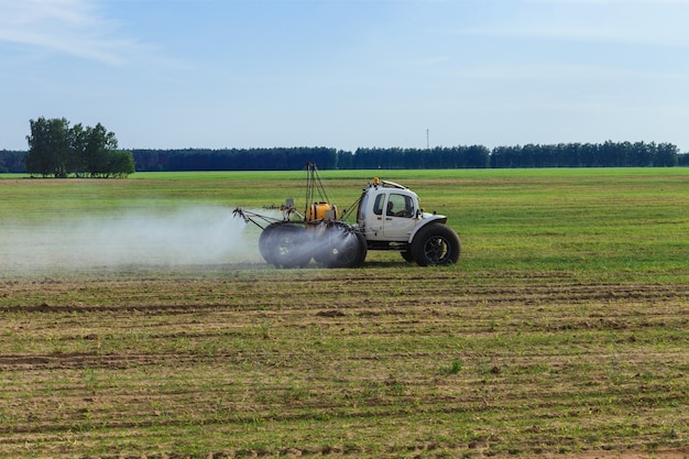 Traktor sprüht flüssige chemische Düngemittel in Maisfeld