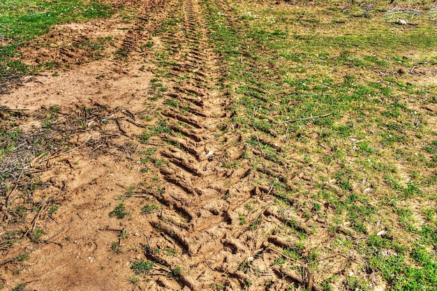 Foto traktorspur auf dem boden und gras in hdr