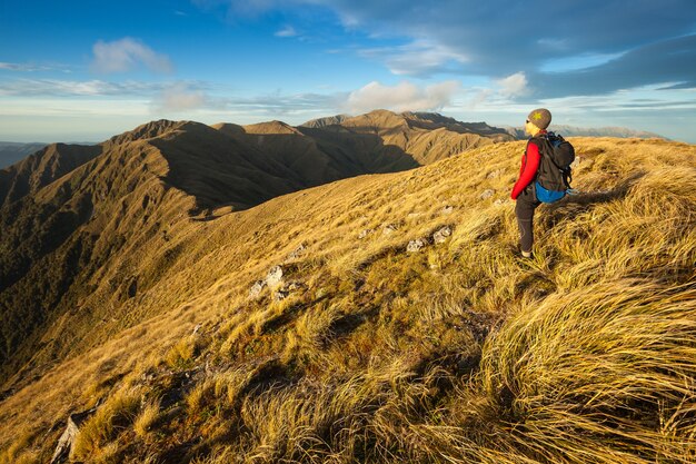 Tramper on the Southern Crossing, Tararua Forest Park