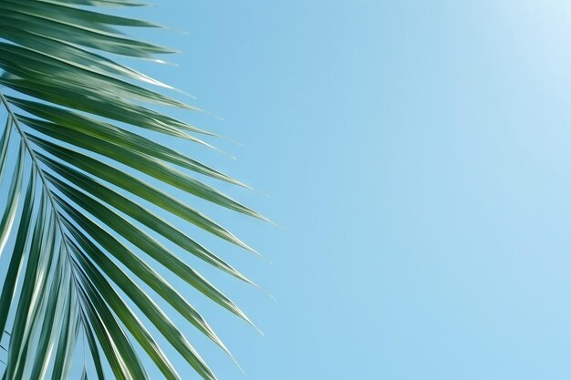 Tranquil Retreat Coconut Palm Leaf Casting Shade auf einer blauen Wand, die Serenity hervorruft