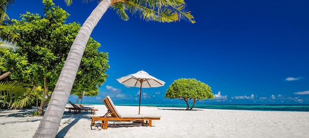 Tranquila escena de playa. Exótico paisaje de playa tropical para fondo o papel tapiz. diseño de verano