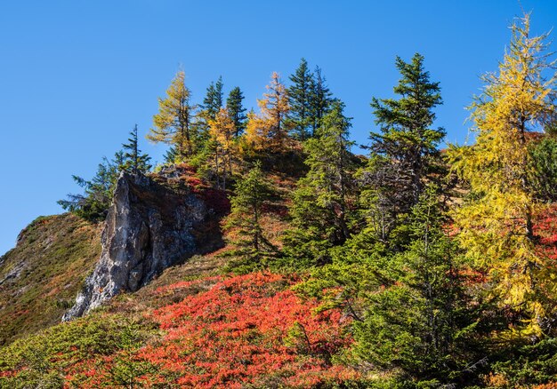 Tranquila montaña de los Alpes de otoño vista soleada desde la ruta de senderismo de Dorfgastein a los lagos Paarseen Land Salzburgo Austria