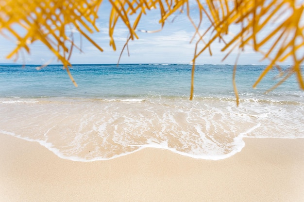 Tranquila y relajante escena de playa vacía cielo azul y arena blanca