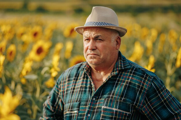 La tranquilidad cultivada El granjero anciano entre los girasoles