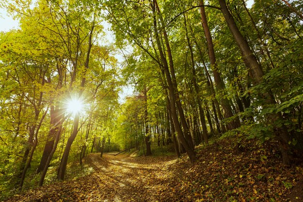 El tranquilo y hermoso paisaje a la luz del día