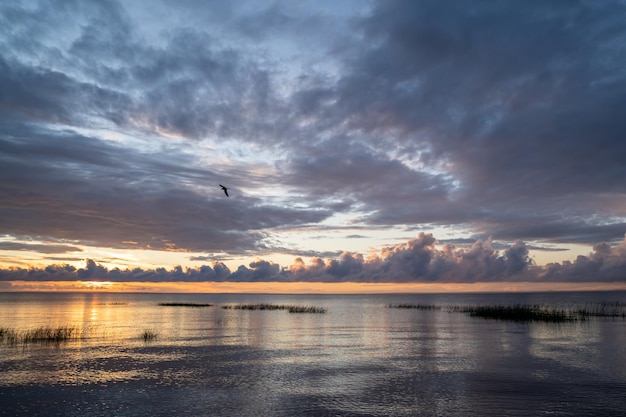 Tranquilo junto al lago al atardecer en la costa de hierba de la tarde de verano en la noche contra un cielo nublado al atardecer