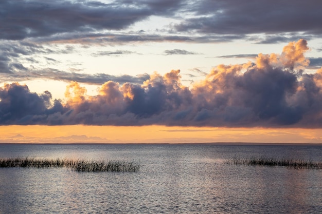 Tranquilo junto al lago al atardecer en la costa de hierba de la tarde de verano en la noche contra un cielo nublado al atardecer