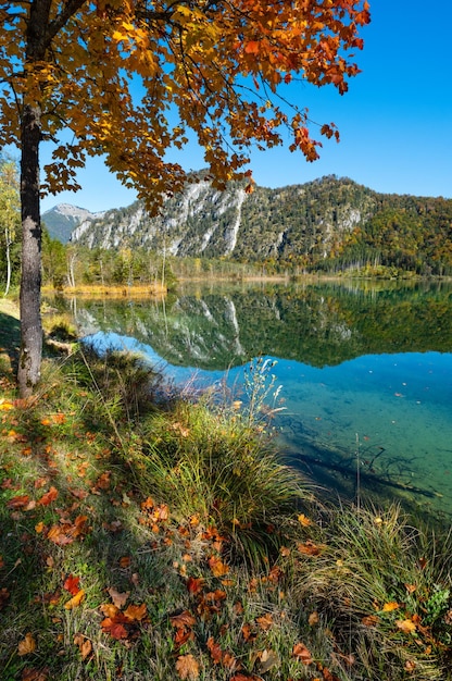 Tranquilo lago de montaña de los Alpes otoñales con agua transparente y reflejos Lago Almsee Alta Austria