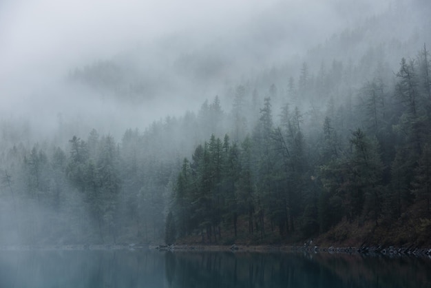 Tranquilo paisaje atmosférico con lago de montaña turquesa y siluetas de árboles coníferos en una densa niebla Lago alpino puro en una niebla espesa y misteriosa Lago glacial tranquilo y borde del bosque en una madrugada brumosa