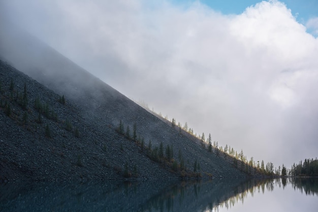 Foto tranquilo paisaje nebuloso meditativo de lago glacial y cimas de abeto puntiagudas en la colina temprano en la mañana eq gráfico de cimas de abeto en la ladera en la luz del sol dorada en el lago alpino en la niebla misteriosa lago de montaña