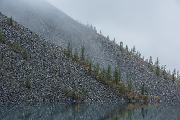 Tranquilo paisaje nebuloso meditativo de un lago glacial con cimas de abeto puntiagudas que se reflejan en la madrugada EQ gráfico de cimas de abeto en la ladera cerca de un lago alpino tranquilo en una niebla misteriosa lago de montaña fantasmal