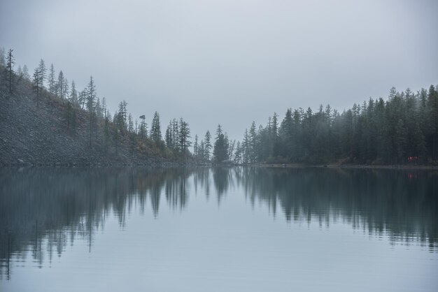 Tranquilo paisaje nebuloso meditativo de un lago glacial con cimas de abeto puntiagudas que se reflejan en la madrugada Equivalencia gráfica de siluetas de abeto en el tranquilo horizonte de un lago alpino en una niebla misteriosa Lago de montaña fantasmal