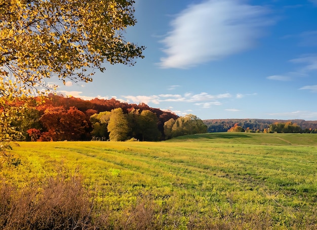 Tranquilo prado de otoño follaje vibrante cielo brillante granja pacífica