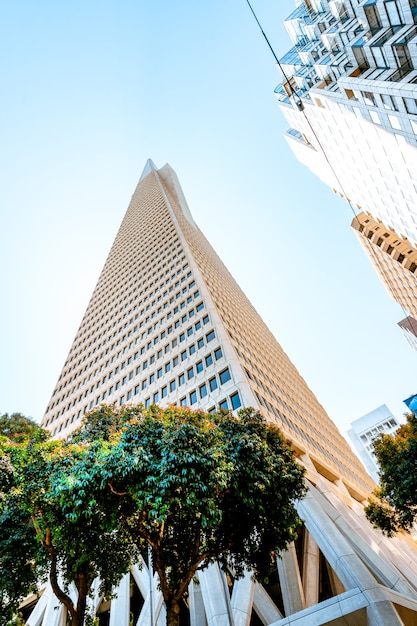 Transamerica Tower en el centro de San Francisco Hermosa arquitectura de un edificio comercial