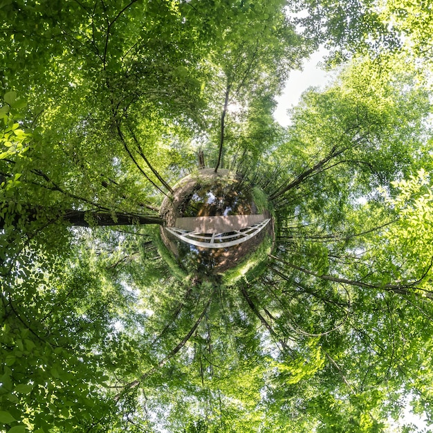 Transformación de un pequeño planeta de panorama esférico de 360 grados Vista aérea abstracta esférica con árboles en el bosque con ramas torpes en el cielo azul Curvatura del espacio