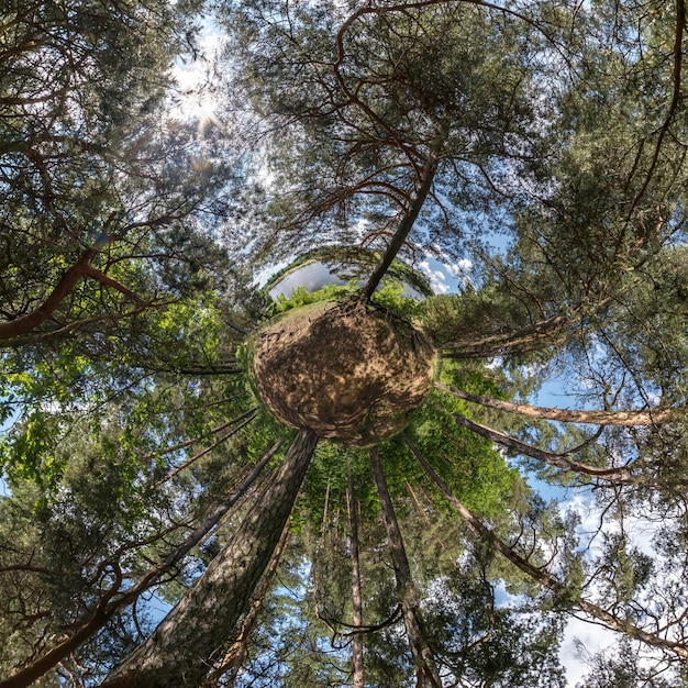 Foto transformación del pequeño planeta del panorama esférico 360 grados vista aérea abstracta esférica en el bosque curvatura del espacio