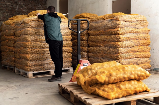 transpaleta cargada con patatas en el almacén. el operador del almacén carga papas. una gran mercancía de granja