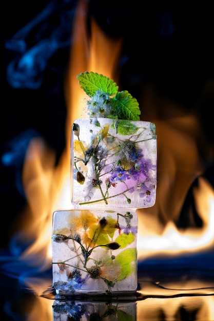 Transparente Eiswürfel auf schwarzem Hintergrund mit Feuer und mit gefrorenen Blumen im Inneren