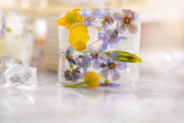 Transparente Eiswürfel mit gefrorenen Blumen im Inneren