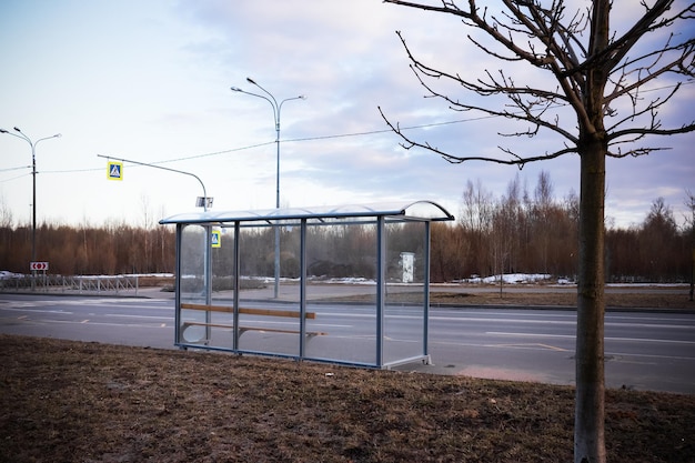 Transparente Glasbushaltestelle in der Nähe der Straße, trockenes Gras und Bäume und Fußgängerüberweg bei bewölktem Wetter