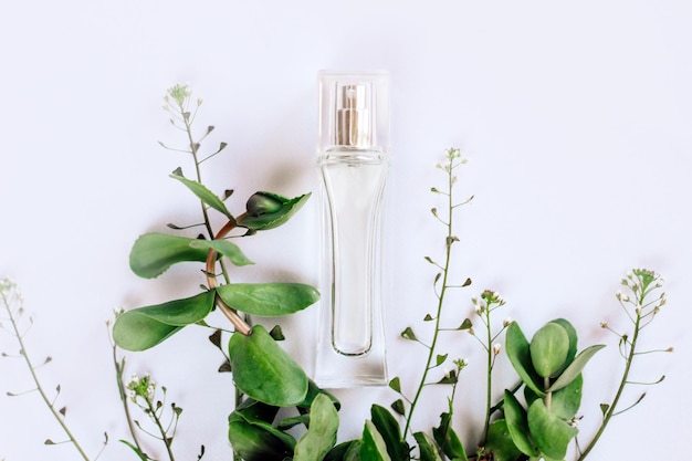 Transparente Parfümflasche aus Glas mit grünen Pflanzen