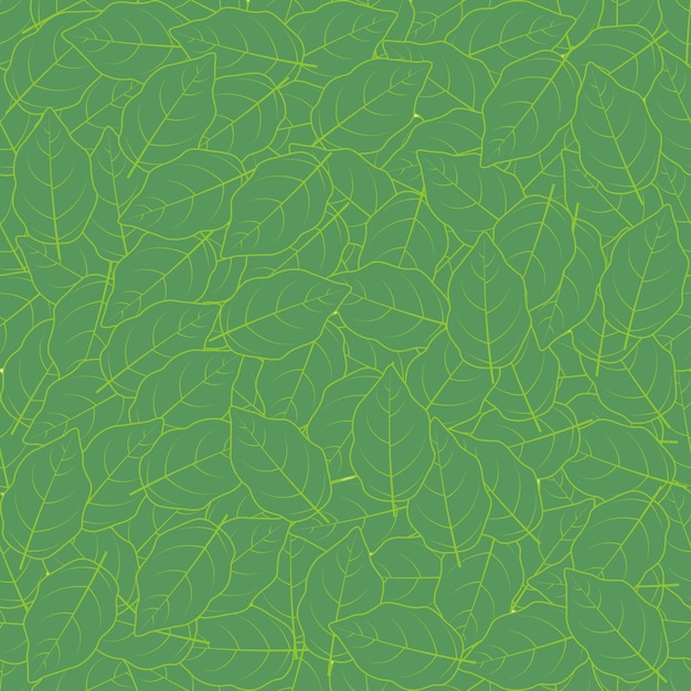 Transparente con vector de hojas de abedul verde