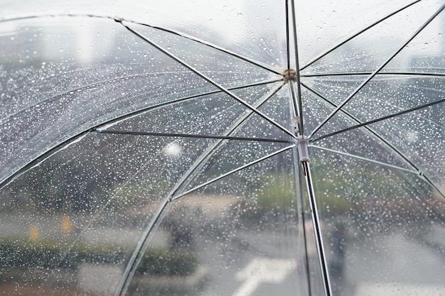 Transparenter Regenschirm am regnerischen Tag