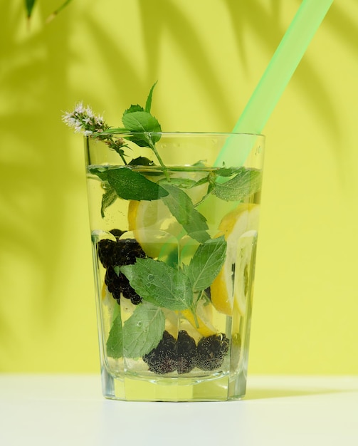 Transparentes Glas mit Limonade, Minze, Zitronenscheiben und Brombeeren im mittleren grünen Hintergrund