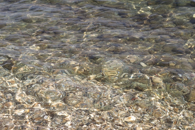 Transparentes olas del mar en la orilla