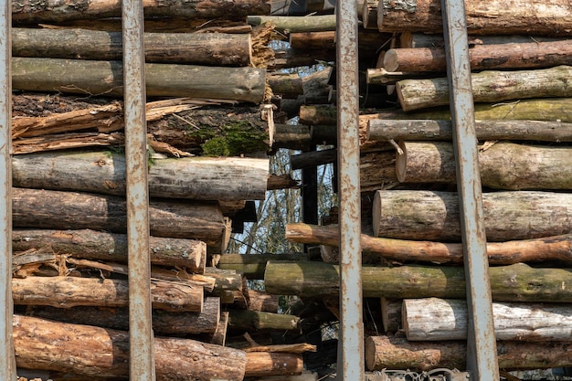 Transport von Holz auf einem LKW mit Anhänger auf der Autobahn Flurförderzeug für den Holztransport Holzmaschine für erneuerbare natürliche Ressourcen Holzexport- und Versandkonzept