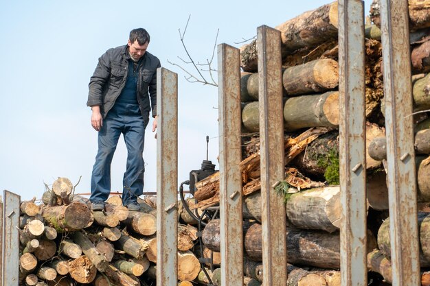 Transport von Holz auf einem LKW mit Anhänger Der Fahrer befestigt die Baumstämme auf dem Anhänger Flurförderzeug für den Holztransport Unfall beim Transport von umgestürzten Holzstämmen auf der Straße