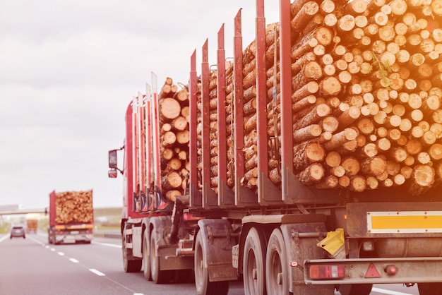 Transporte comercial de madera en camiones de troncos en un día de verano a lo largo de una autopista suburbana Concepto de importación comercial de madeira en Europa