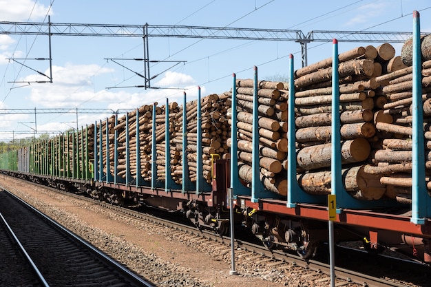 Transporte de madeira por ferrovia