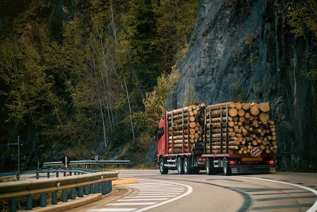 Transporte de madera y leña por caminos rurales Transporte en camiones con semirremolques especiales de troncos forestales