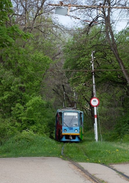 Un tranvía que circula sobre rieles rodeado de hierba verde fresca en el centro de la ciudad de Pytigorsk