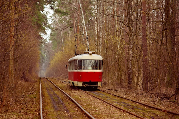 Tranvía rojo antiguo