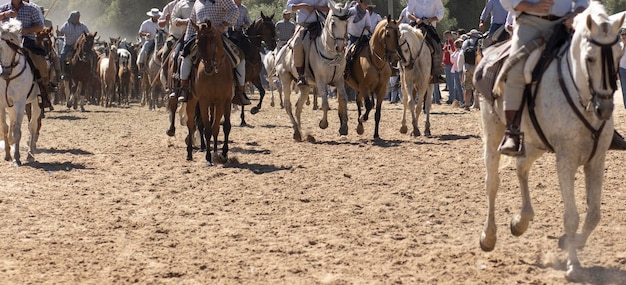 Traslado de yeguas es un evento ganadero en El Rocío Huelva En español llamado Saca De Yeguas