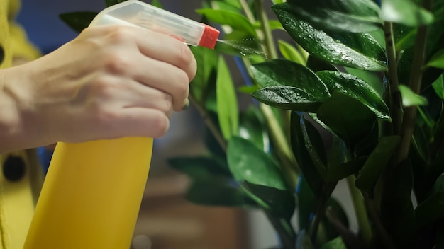 Trasplantando plantas a otra maceta, las herramientas de jardín yacen sobre una mesa de madera, una pala