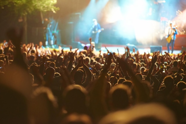 Se trata de los fanáticos. Fotografía de fans disfrutando de un festival de música al aire libre.